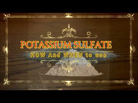 Video: Ano ang gamit ng sulfate of potash?