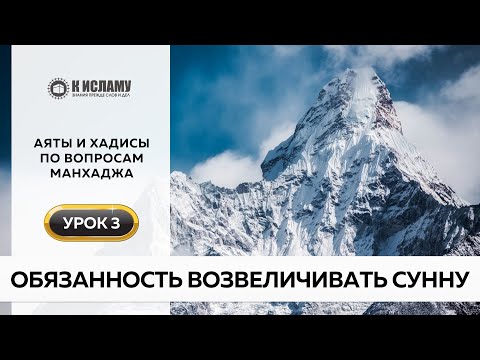 03. Обязанность возвеличивать Сунну | Аяты и хадисы по вопросам манхаджа. Ринат Абу Мухаммад