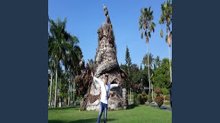 Download Lagu Selamat Tahun Baru Neu Hit Ok Oke Download Lagu Selamat Tahun Baru Neu Hit Ok Oke