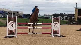 Cracking 3* Event Horse/Showjumper - ad ref: 239818