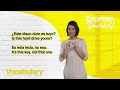 Inglés para llamadas importantes que sí vas a usar | Express Yourself