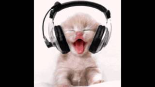 Quick Fix Mix - DJavy