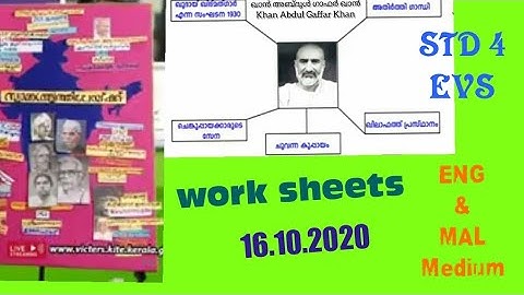 VICTERS STD 4 EVS online class