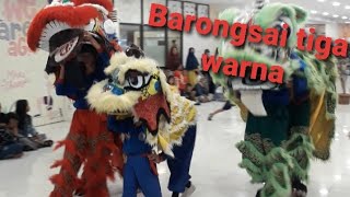 Dunia Anak ..Barongsai tiga warna #dance #cute #cute #channel #anakanak #hiburan by Children's world Chanel 14 views 2 months ago 4 minutes, 13 seconds