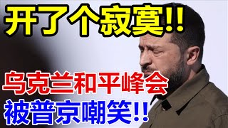 开了个寂寞、乌克兰和平峰会、被普京嘲笑、