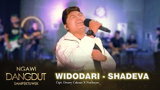 WIDODARI - SHADEVA WIJAYA (NGAWI DANGDUT SAMPEK TUWEK) - DC MUSIK