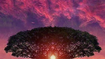 قراءة من سورة آل عمران الآيات (133-170) بصوت الشيخ صلاح بو خاطر