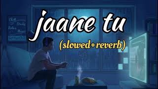 jaane tu! Chhaava! Vicky kaushal, Rashmika mandana, A.R Rahman, Arijit singh, Irshad kamil