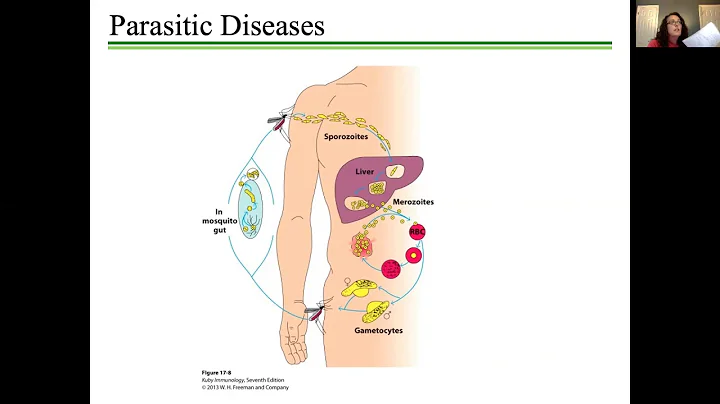 BIOL3530-April6z...