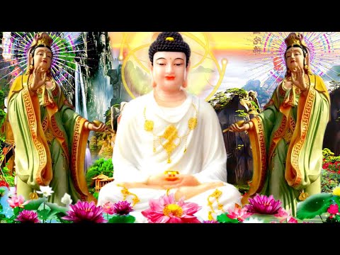 Video Sáng 11 Âm Bài Kinh Sám Hối 1 Tỷ Người YÊU THÍCH,Rất... - youtube