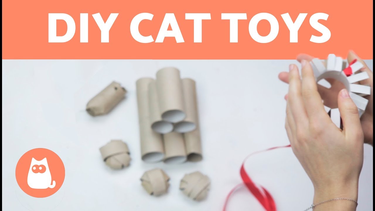 toilet paper roll cat toy