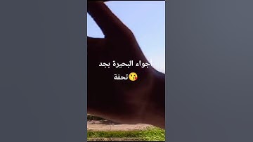 اجواء البحيرة مع جمال القرآن الكريم راحة نفسية