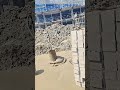 Concrete Eruption: When Trapped Air Creates Volcanic Surges