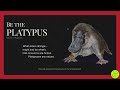 An exploration of the weird and wonderful world of the platypus — a creature that defies logic