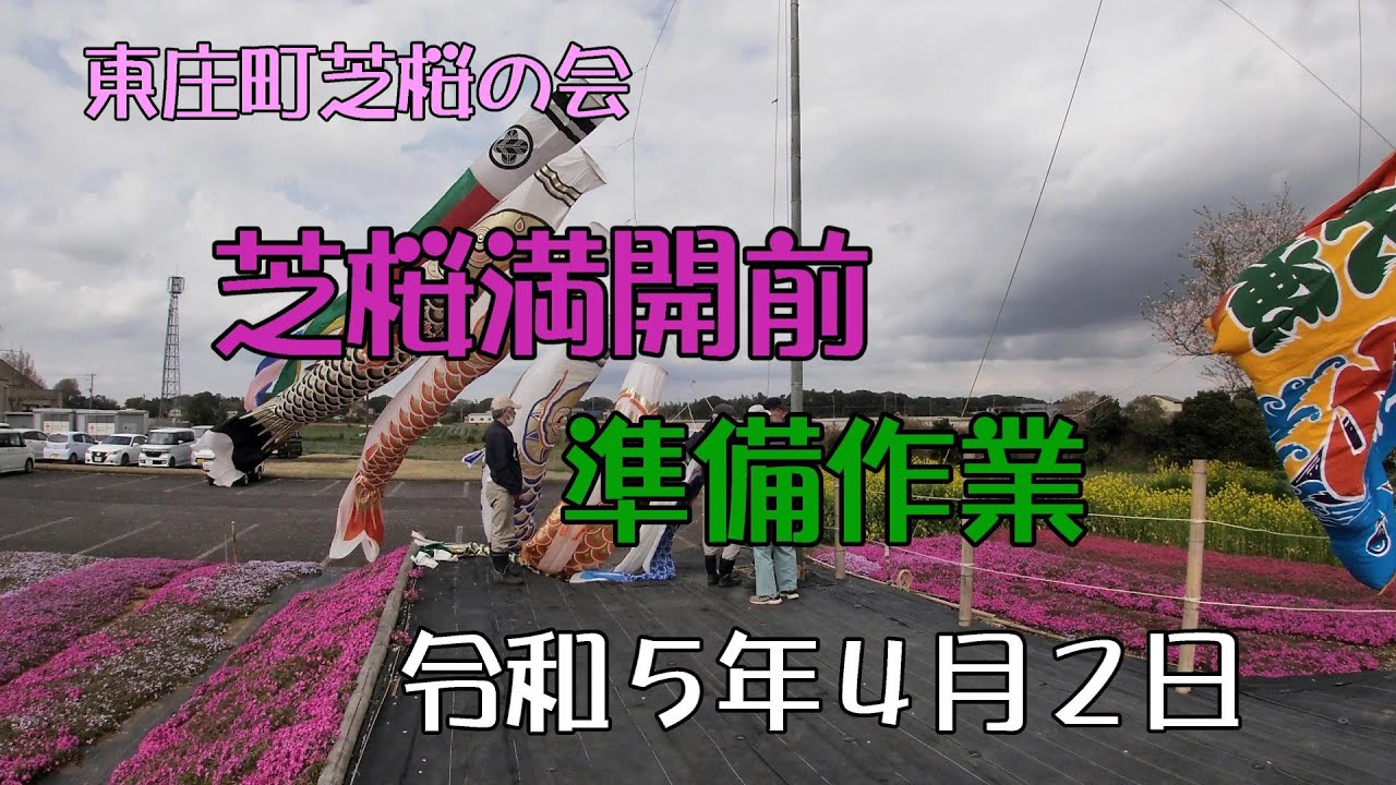 2023-04-02 東庄町ふれあいセンターの芝桜満開前準備作業 4K