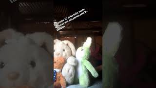 voy a subir otro El peluche de color verde Qué onda pa