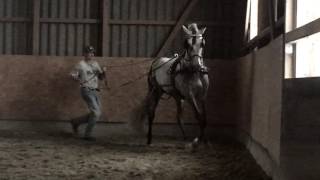 Divertido Débourrage À Lattelage Juin 2016