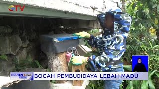 Manfaatkan Lahan Sempit, Bocah Di Sukabumi Budidayakan Lebah Madu 2103