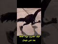 رد فعل زياد ظاظا علي دس بهمان ابو انوار زياد ظاظا ابو انوار بهمان دس بهمان رد فعل زياد ظاظا علي دس بهمان ابو انوار زياد ظاظا ابو انوار بهمان دس بهمان