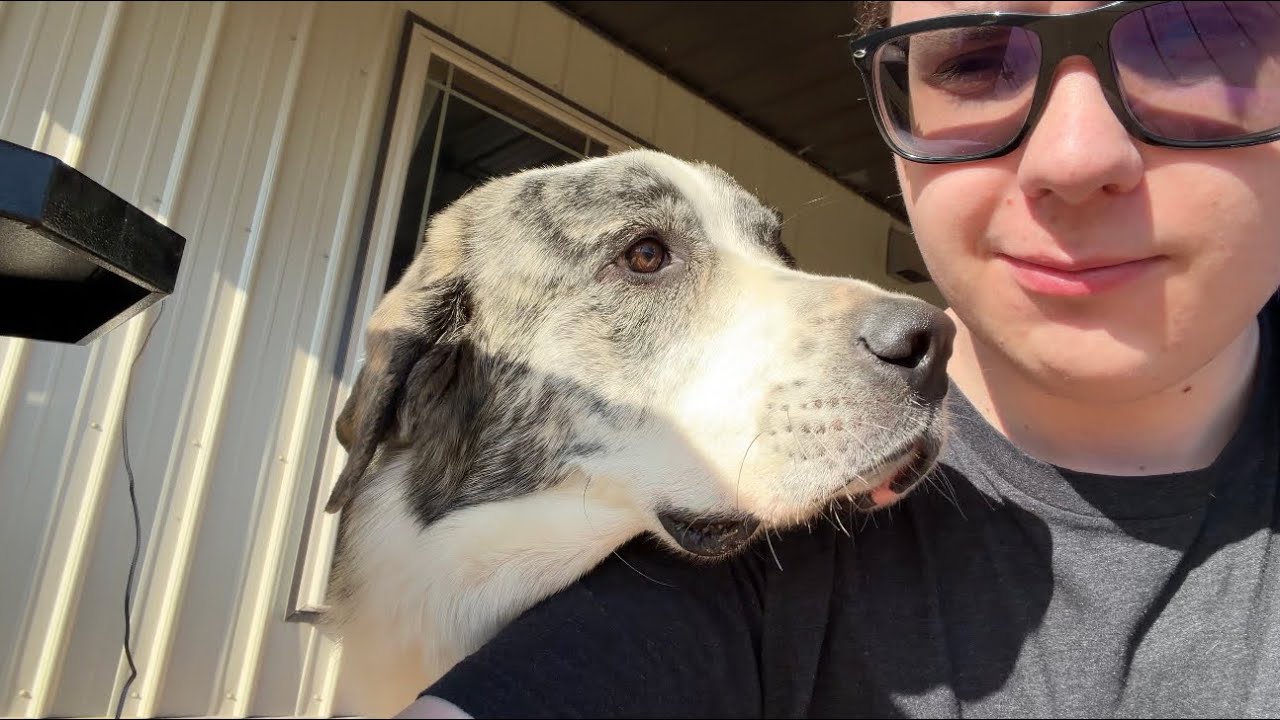 Наконец этот день настал.