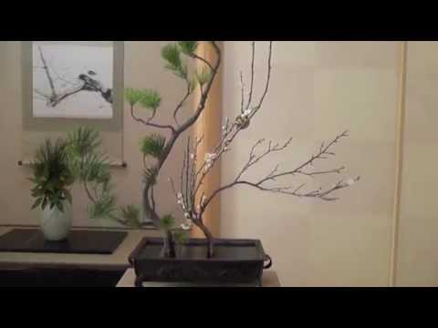 Video: Šta Je Ikebana