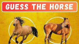 Guess the HORSE Breed Quiz | 20 Breeds | Questions and Answers Trivia Quiz Game Guess The Horse Breed Can You Get All 12 Right