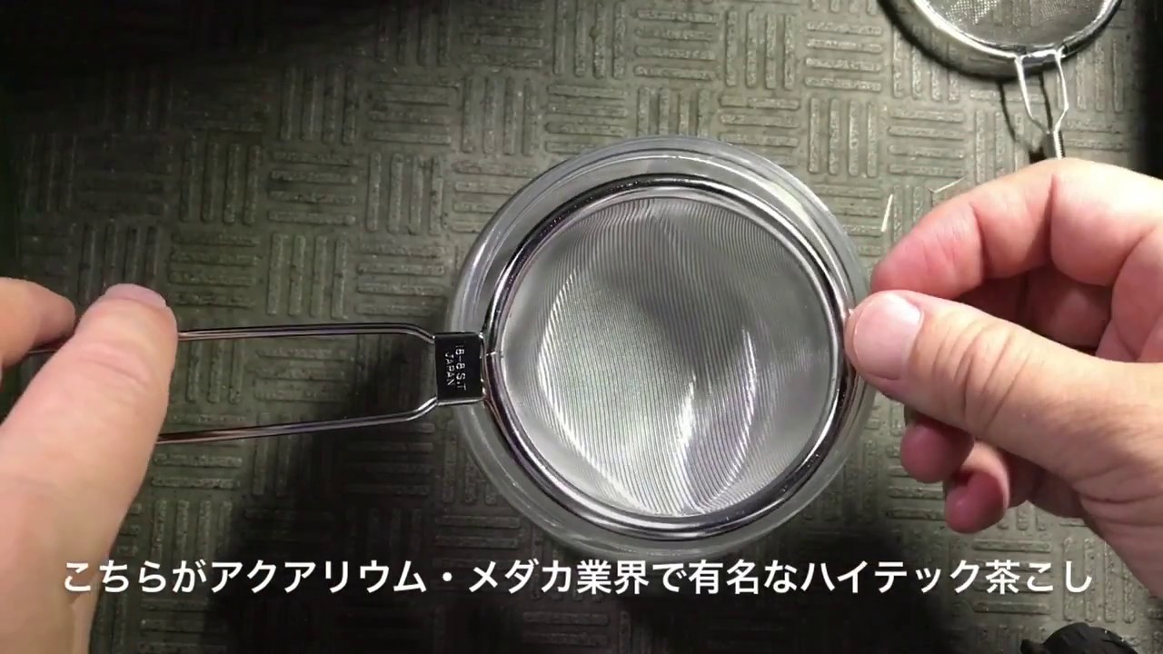 ブライン シュリンプ 沸かし 方