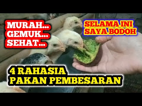 Video: Cara bayar pajak online. Cara mengetahui dan membayar transportasi, pajak bumi dan jalan melalui Internet