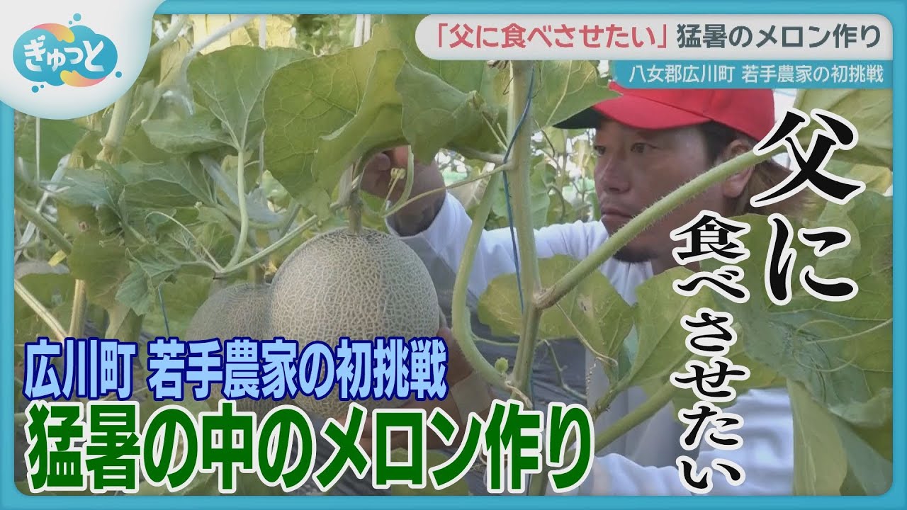 「父に食べさせたい」若手イチゴ農家のメロン作り初挑戦に密着【ぎゅっと】（２０２５年８月２６日）