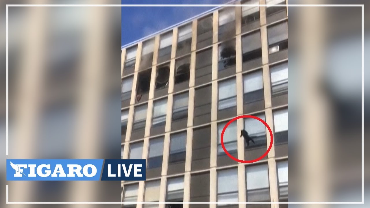 Le Saut Spectaculaire D Un Chat Du 5eme Etage D Un Immeuble En Feu Youtube