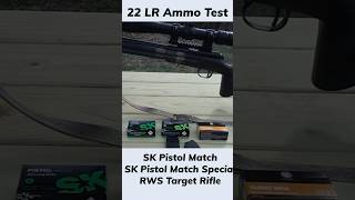 22 LR Ammo Test  #22longrifle #cz