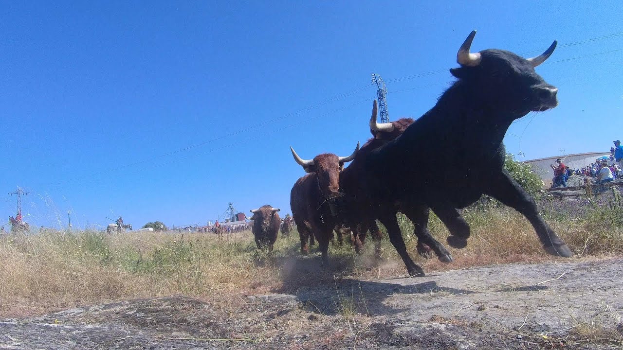 Ledesma 2024 Espantos del lunes 1º