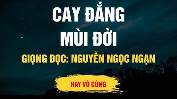 Cực Hay Nguyễn Ngọc Ngạn - Cay Đắng Mùi Đời - Kể Chuyện Đêm Khuya