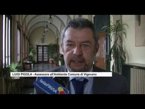 italian greyhound Mercato di Vigevano, tolleranza zero verso chi non pulisce la piazzola