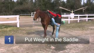 How to Train Your Beginner Horse
How to Train Your Beginner Horse. Part of the series: How to Train a Horse. When training your beginner horse, the first step is properly getting on your horse without scaring it. Discover how to train your beginner horse with guidance from a horseback riding instructor in this free video on beginner horse training. Read more: http://www.ehow.com/video_6857718_train-beginner-horse.html How to Train Your Beginner Horse