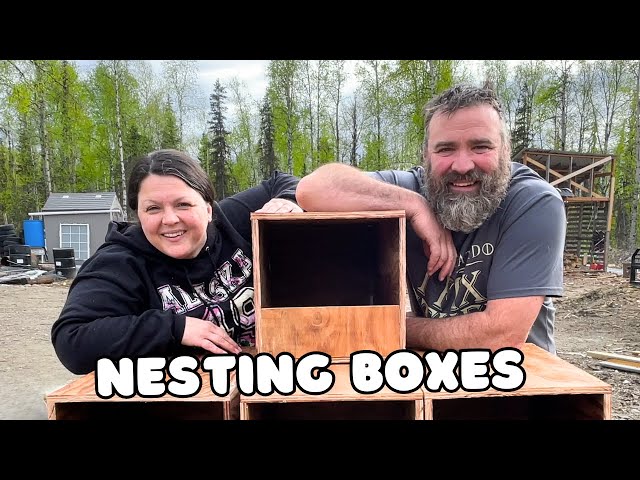 Alaska Life - Winter Garden Survivors, Nesting Boxes, Awesome Chicken Salad class=