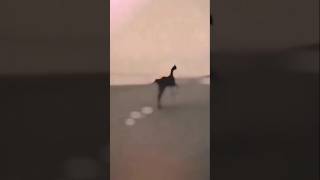 ghoda ride #ghoda #bikelover #bollate #mahakal #time #wweraw #romanreigns #souravjoshivlogs #indian