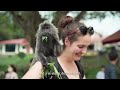 Asian Development Tour | 2025 PKNS Selangor Masters | Visit Selangor | More than Just Golf pt 2