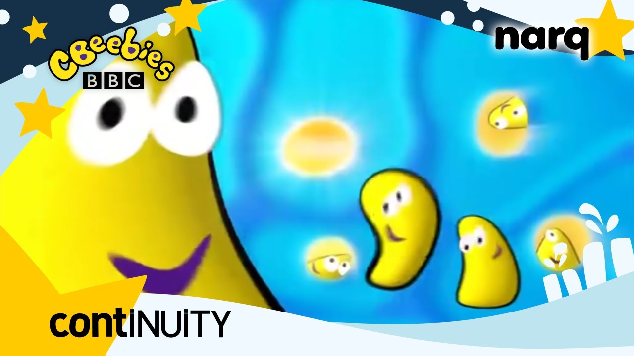 CBeebies Poland - Continuity (January 20th, 2026)