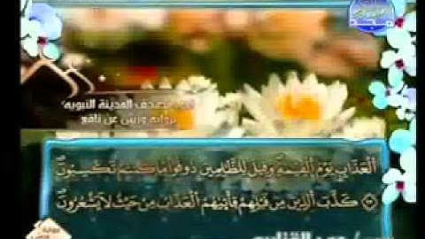 سورة الزمر كاملة الشيخ عمر القزابري