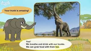 lv02 019 Meet the Animals 19 African Elephant