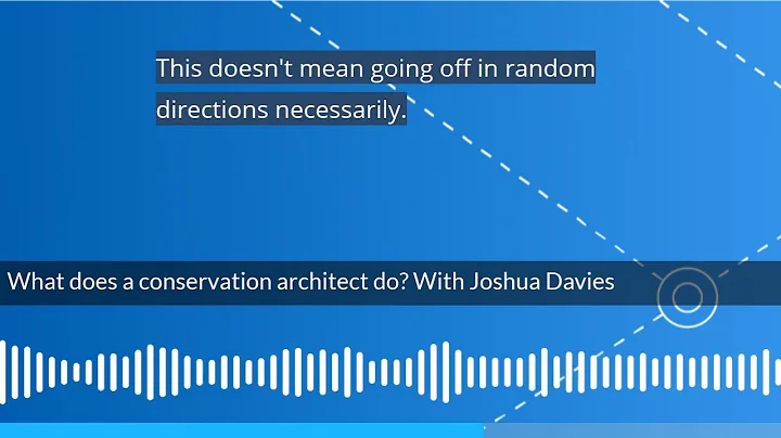 What does a conversation architect do  with Joshua...