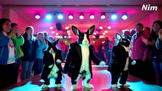 Conejos Elegantes Bailando En La Disco Neon Party Con Estilo