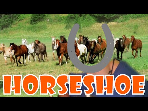 horseshoe---impossible-quiz-(part-4)