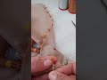 İĞNE OYASİ MODELLERİ YAPILIŞI 💥