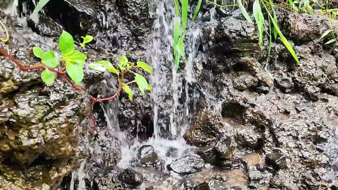 Tranquil Waterfall Flow in Nature
