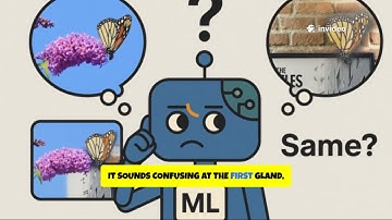 ICCV 2025: Background Invariance Testing According to Semantic Proximity