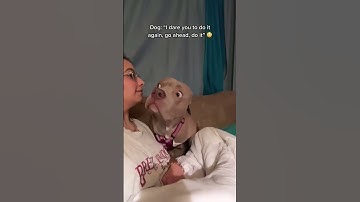 Dog Can