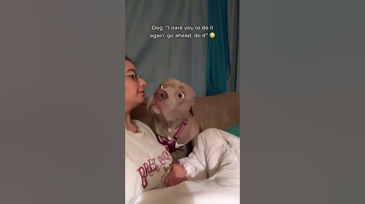 Dog Can't Believe His Owner Can 'Bark' Back! 🐶🤣