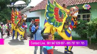 Burok MCM desa cikahuripan , kec. Maleber kab. Kuningan , @Arak arakan
